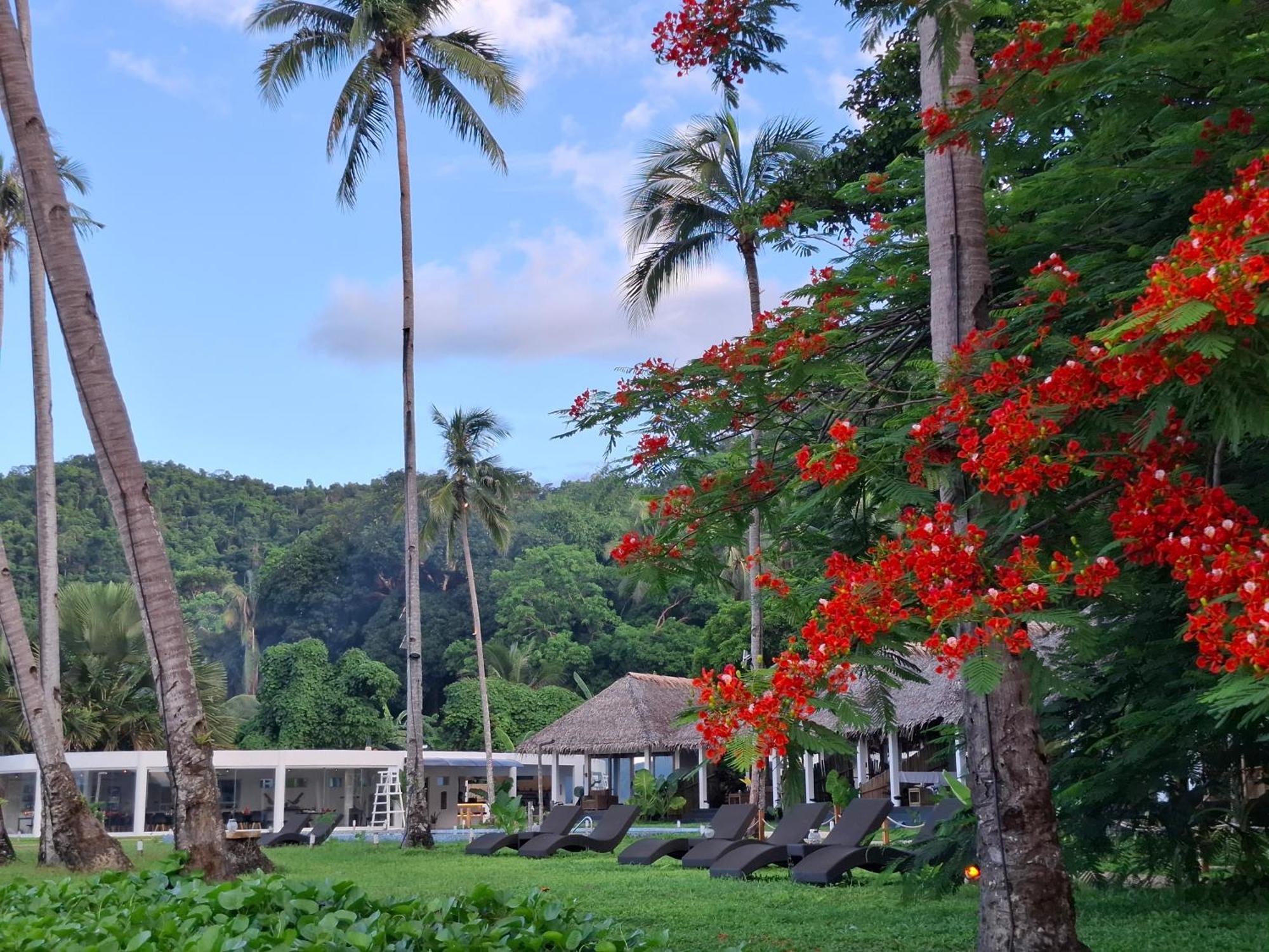 Bebeladan Beach Resort, In The Last Indigenous Corner El Nido Exterior photo
